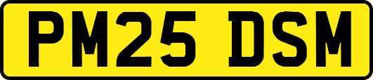 PM25DSM