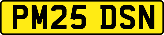 PM25DSN