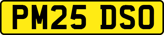 PM25DSO