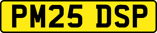 PM25DSP