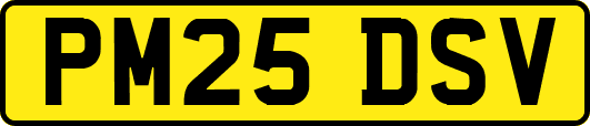 PM25DSV