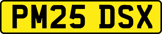 PM25DSX