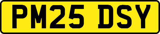 PM25DSY