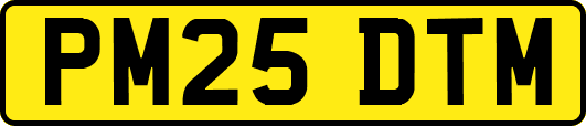 PM25DTM
