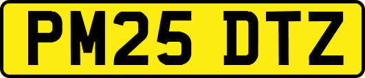 PM25DTZ
