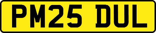 PM25DUL