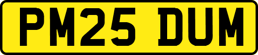 PM25DUM