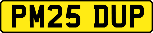 PM25DUP