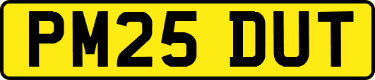 PM25DUT