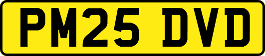 PM25DVD