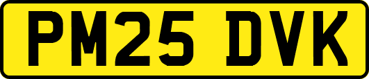PM25DVK