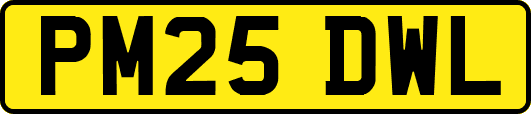 PM25DWL