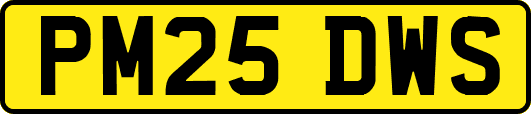 PM25DWS