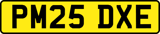 PM25DXE
