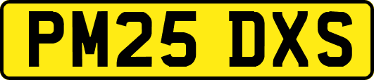 PM25DXS