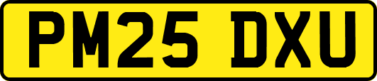 PM25DXU