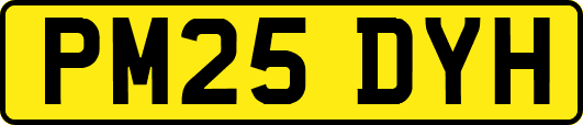 PM25DYH