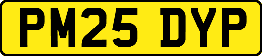 PM25DYP
