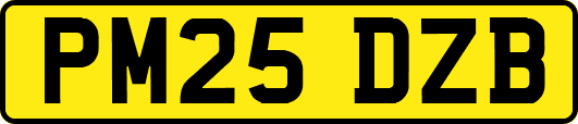 PM25DZB