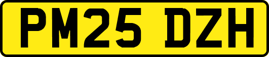 PM25DZH