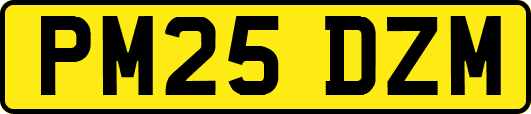PM25DZM