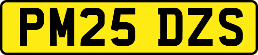 PM25DZS