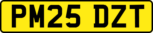 PM25DZT