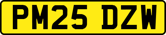 PM25DZW
