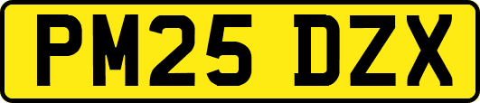 PM25DZX