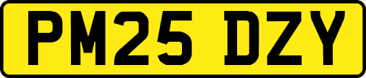 PM25DZY