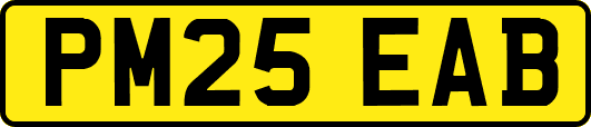 PM25EAB