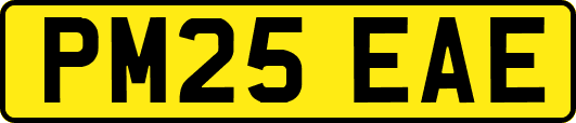 PM25EAE