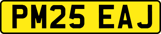 PM25EAJ