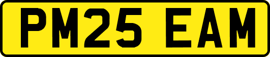 PM25EAM