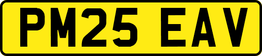 PM25EAV