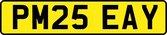 PM25EAY
