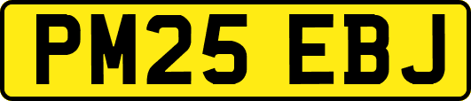 PM25EBJ
