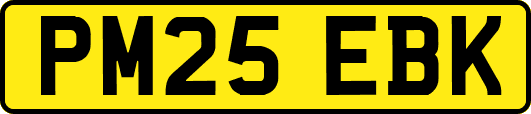 PM25EBK