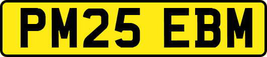 PM25EBM