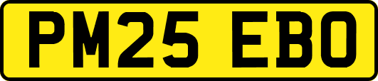 PM25EBO