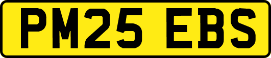 PM25EBS