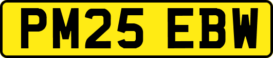 PM25EBW