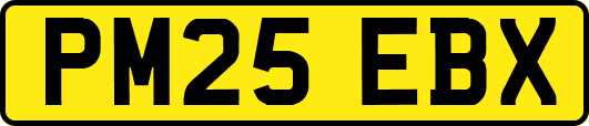 PM25EBX