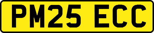 PM25ECC