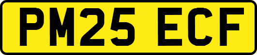 PM25ECF