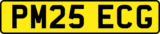 PM25ECG