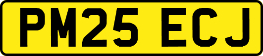 PM25ECJ