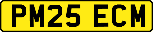 PM25ECM