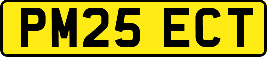 PM25ECT