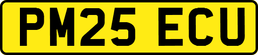 PM25ECU